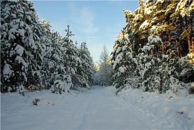 《蟹蟹寻宝奇遇》4月25日登陆Switch 寄居蟹类魂动作冒险