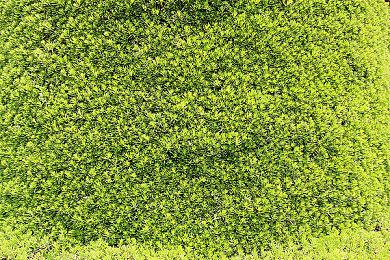 《Thronefall》登陆PC＆Switch 好评小清新塔防